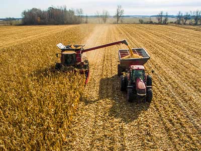 Harvest Equipment in the Field