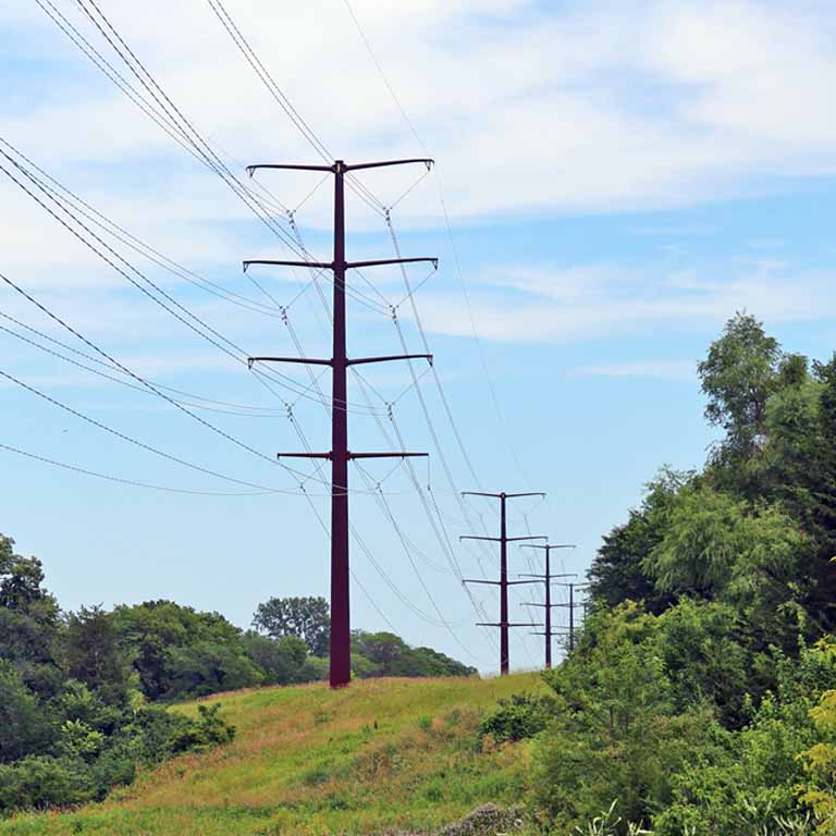 A monopole transmission line