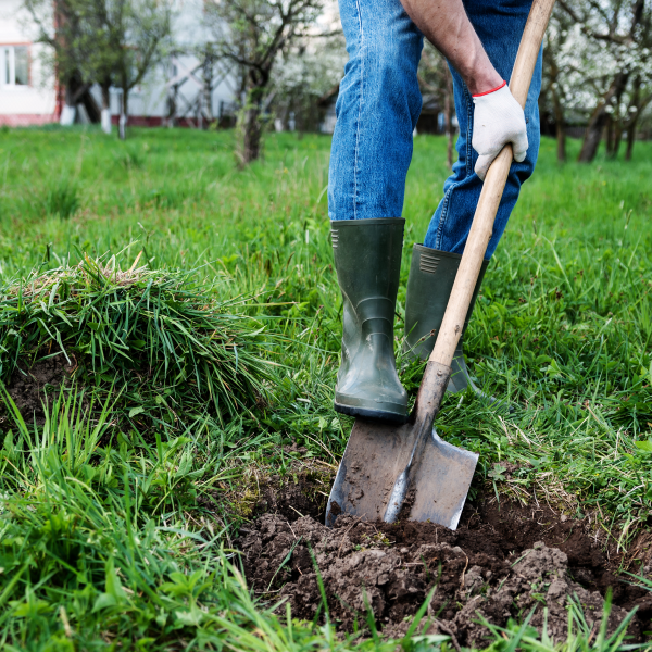 close-up shot of a person wearing gardening gloves and boots digging a hole in their yard with a shovel